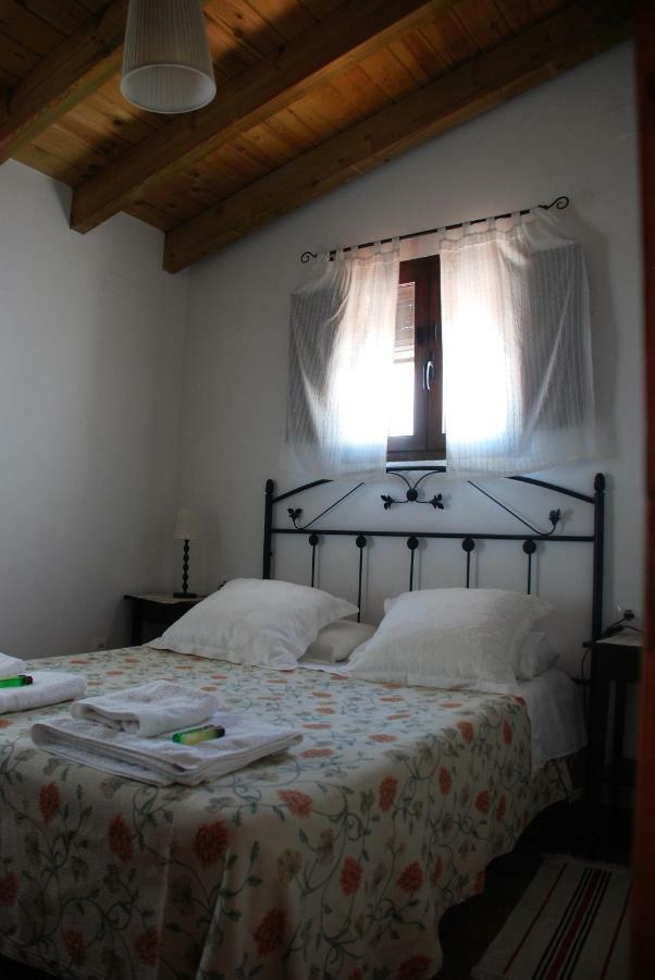 Casa Rural La Torre 阿尔莫纳斯特尔拉雷亚尔 外观 照片